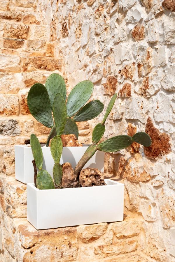 Casa Tonini Villa Ostuni Ngoại thất bức ảnh